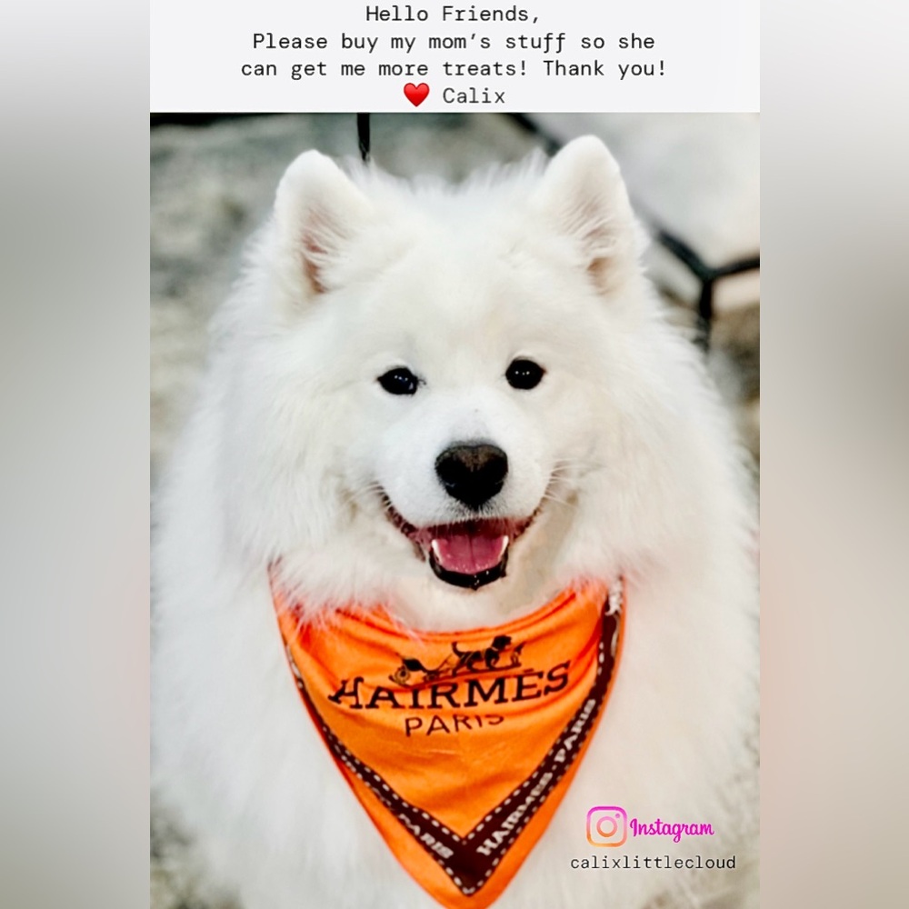 SHIRLEYBELLES IS LIVE! 🔔 - Picture 13 of 15